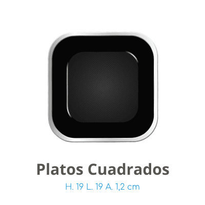 6PlatosCuadrados