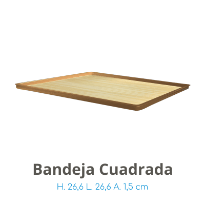 H10_Bandeja_Cuadrada