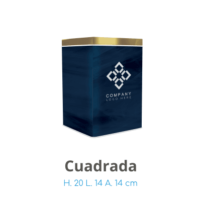 H6_Cuadrada2